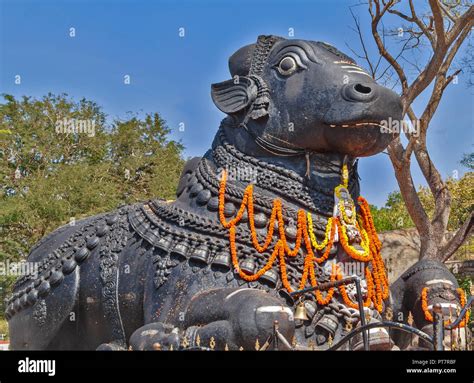 india neandnu|Nandi (Hinduism) .